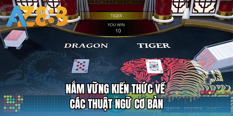 Nắm vững kiến thức về các thuật ngữ cơ bản